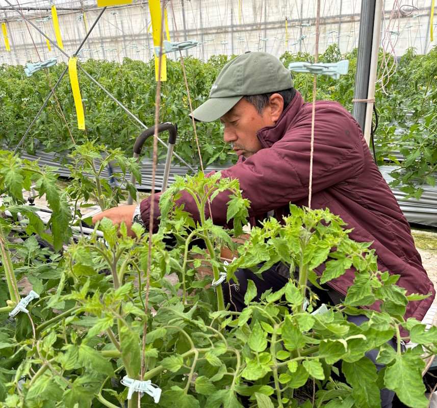 今井農園さんのお米・野菜・果物